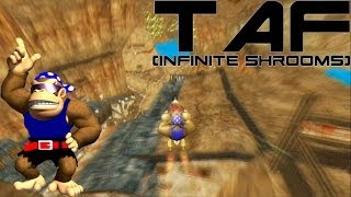 MKWii  TAF Zelda TP Kakariko Village Freerun infinite shrooms [upl. by Johnsten727]