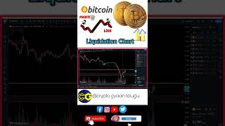 Bitcoin Liquidation Charts [upl. by Aronson]