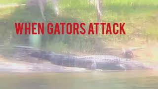 Alligator Attacked and Killed Woman  Graphic Version viewer discretion is advised [upl. by Imugem758]