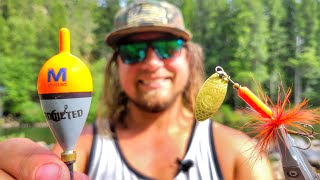 Bobber Vs Spinner TROUT FISHING SHOWDOWN [upl. by Bever]