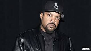 Ice Cube Gangsta Rap made me do it Remix by NetPoetry [upl. by Akemak822]