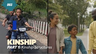 Kinship  Part 1 Kinship Structures [upl. by Pembrook540]