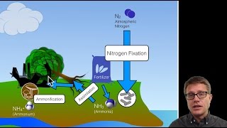 Biogeochemical Cycles [upl. by Eboj]