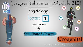 PhysioUrogenital system kidney module 212 Dr Ahmed Fawzy Lec 1 [upl. by Claudianus]