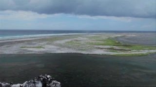 Clipperton une île défigurée par la pollution [upl. by Edith226]