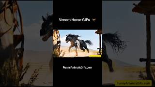 Venom Horse GIFs 🐎 shorts venomhorsegifs gifs [upl. by Euqinamod]