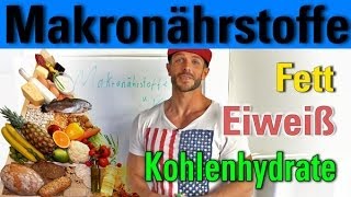 Makronährstoffe Eiweiß Kohlenhydrate Fett [upl. by Ainecey]