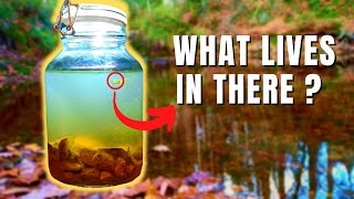 Making an ecosphere with a MYSTERY animal inside [upl. by Dennet]