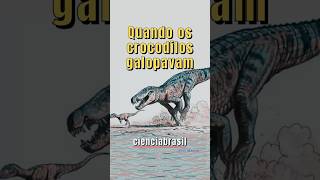 CROCODILOS GALOPANTES [upl. by Dine]