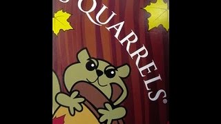 Squarrels  An Overview [upl. by Ecnaled]