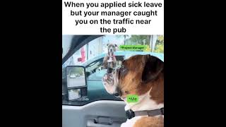 When you applied sick leave but your manager caught you on the traffic near the pub [upl. by Angil744]