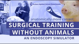 Surgical training without animal experiments a simulator is anatomically more correct [upl. by Oirasec]