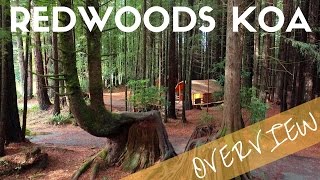 Crescent City Redwoods KOA Campground Overview  Camping near Redwoods National Park [upl. by Freida]