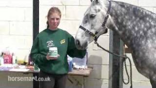 How to protect your horse from flies midges and insect bites  fly spray and cream [upl. by Ellynn335]