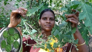 ஆஸ்துமா விடாத இருமல் சளி தொல்லையை விரட்டும் முசுமுசுக்கை கீரை அடை mukia maderaspatana Musumusukkai [upl. by Ekenna]