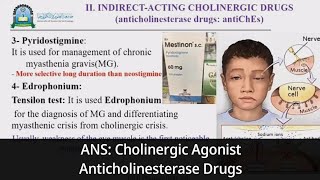 8 ANS Parasympathomimetic Indirect Acting Cholinergic Agonist Anticholinesterase Drugs [upl. by Reteip]