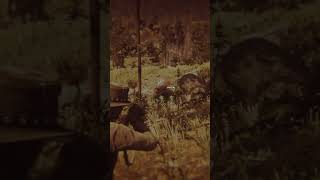 Shooting the Legendary Elk in RDR2 rdr2 [upl. by Ailegnave]