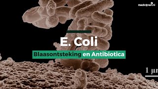 E Coli – Blaasontsteking en Antibiotica [upl. by Terri]