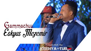 Eskyas Mezemir Gammachuu New Ethiopian Afaan Oromo Music  officail video 2020 [upl. by Eserahc789]