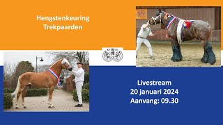 HK2024 Trekpaarden  20 januari 2024 [upl. by Leigha]