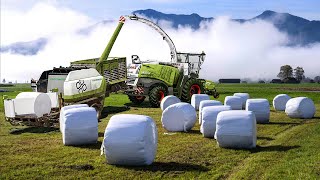 Using easy Silage Baler with Claas jaguar 950 Maize amp Grass Silage  Farming Simulator 22 [upl. by Eelahc]