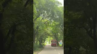 Nenmara Nelliyampathy Road Chittur Palakkad [upl. by Auhsuj508]