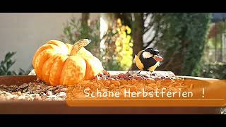 Schöne Herbstferien [upl. by Fry613]