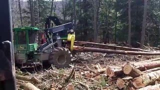 Trying out a new skidder [upl. by Irrac]