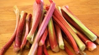 Rhubarb 101  Everything You Need To Know About Rhubarb [upl. by Eneleoj837]