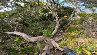 Mount Kinabalu  Via Ferrata LPC 5 Jungle [upl. by Akirdnwahs312]