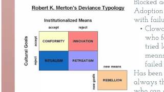 Crime and Deviance A Sociological Perspective [upl. by Geof]