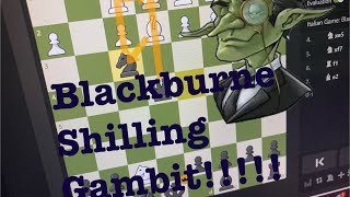 The Blackburne Shilling Gambit Trap [upl. by Adilem620]