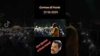 Bohemian Rhapsody  Live Queen tribute band [upl. by Corenda]