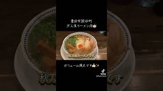 豊田市の大人気ラーメン店を紹介！愛知県 豊田市 ラーメン [upl. by Binny]