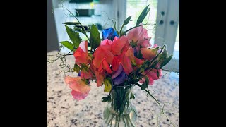 Making a Sweet Pea Arrangement [upl. by Yesrej]