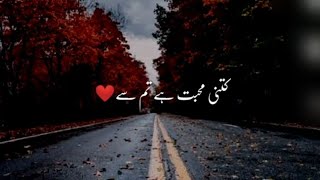 Kitni Muhabbat Hai Tumse  Sad Shero Shayari Status In Urdu  Dukhiya Poetry Hindi [upl. by Hurlbut]