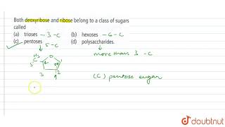 Both deoxyribose and ribose belong to a class of sugars called [upl. by Llehsam]