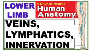 Chp11 BDC Vol2  Lower Limb  Venous amp Lymphatic Drainage and Cutaneous Innervation [upl. by Skutchan]