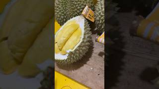 DURIAN BAWOR DAN DURIAN MUSANGKING durian durianbawor musangking masduren [upl. by Nibbor]