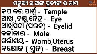 Odia word book  English to Odia word  word meaning book  human limbs word  human body [upl. by Tenneb]