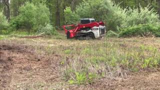 Takeuchi TL12V2 with an AHWI M450h1900 mulcher [upl. by Nyleda]