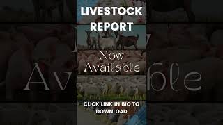 Livestock Report [upl. by Obidiah704]