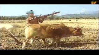 FULL BODO FILM  BASIRAM JWHWLAO बासिराम जोहोलाव [upl. by Rustice435]