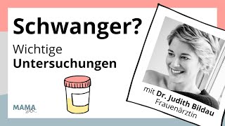 Untersuchungen in der Schwangerschaft Vom ToxoplasmoseTest bis zum Zuckertest  alles erklärt [upl. by Levina]