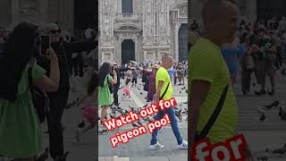 Tourist Scams in Europe Milan Edition Italy 🇮🇹 [upl. by Quintie]