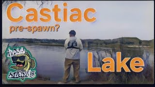 Early spring Bass fishing Castaic lake shorts bassfishing fishing bassjunkie [upl. by Jarnagin]