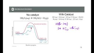 Catalysis and Enzymes CH 14 9182024 [upl. by Ianahs]