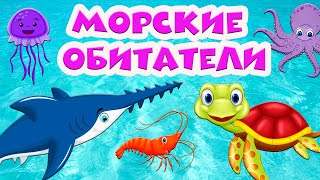 Морские обитатели 🐬 Подводный мир 🐠 Развивающие мультики 🐟 Для самых маленьких [upl. by Ylrahc]