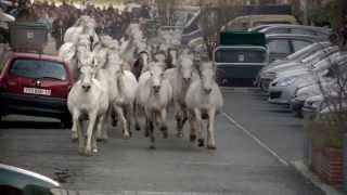 TRANSHUMANCE Teaser ©Théâtre du Centaure [upl. by Nehgem546]