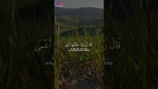 Beatiful Quran recitation by Islam Sobhi  Surah Taha [upl. by Nevaed942]